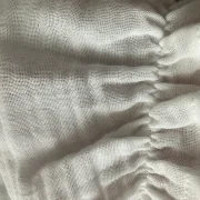 Plume Rose
